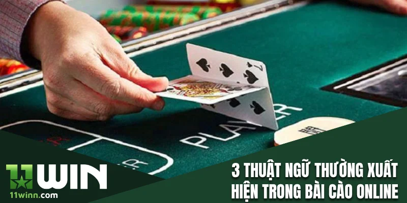 3 thuật ngữ thường hay xuất hiện trong bài cào online