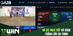 Đá gà trực tiếp