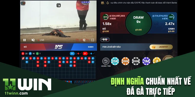 Định nghĩa chuẩn nhất về đá gà trực tiếp