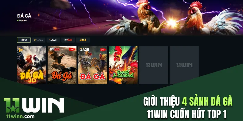Giới thiệu 4 sảnh đá gà 11WIN cuốn hút top 1 Châu Á 