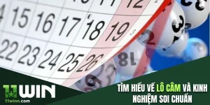 Lô câm
