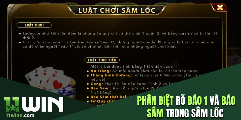 Phân biệt rõ báo 1 và báo sâm trong sâm lốc để tránh bị phạt