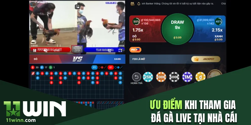 Ưu điểm khi tham gia các trận đấu gà live tại nhà cái