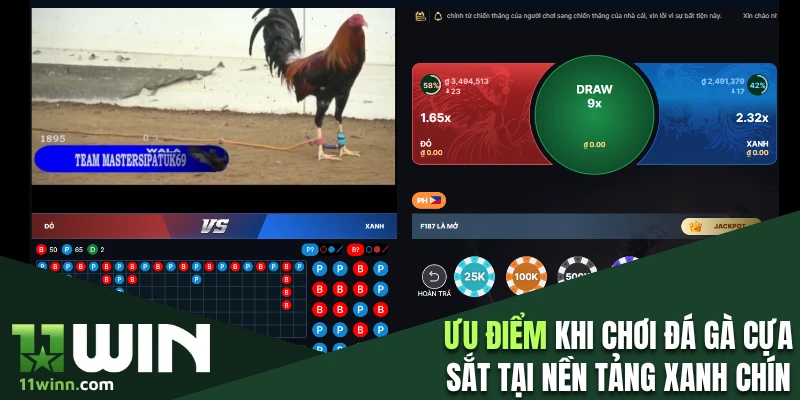 Ưu thế vượt trội khi chơi đá gà tại nền tảng 11WIN